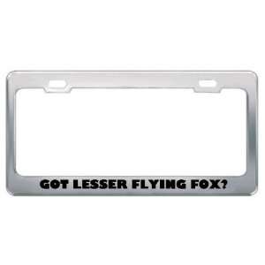 Got Lesser Flying Fox? Animals Pets Metal License Plate Frame Holder 