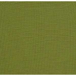  1744 Pearson in Parrot by Pindler Fabric