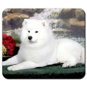  Samoyed Mousepad