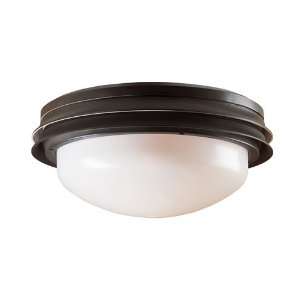 Hunter Fans 28547 Marine Ii Outdoor Fan Light, Ul Wet Listed Fan Light 