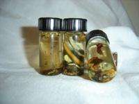 Scrying Oil ~ esoteric ~ occult ~ two drams  