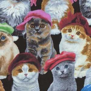   CATS KITTENS IN HATS ON BLACK Cotton Fabric BTY for Quilting Craft Etc