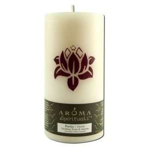  Aroma Naturals Candle Pillars Spirit Pure 3X6 Ct Health 