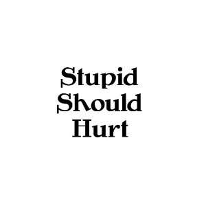  Stupid Should Hurt   Vinyl Decal Sticker   8   BLACK 