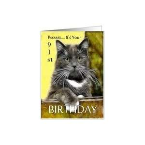    Birthday ~ Age Specific 91st ~ Cat in a box Card Toys & Games