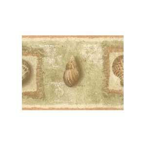  Shells Soft Green and Peach Wallpaper Border in Kitchen 