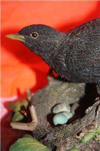 Country Artists   BLACKBIRD ON NEST   Very rare, discontinued item 
