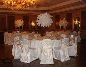 Ostrich Feather Centeriece RENTALS NY & NJ  