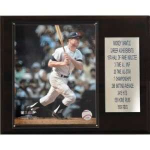   Yankees Mickey Mantle 12x15 Career Stats Plaque