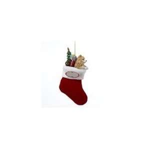  Pack of 6 Pomeranian in Knit Christmas Stocking Ornaments 