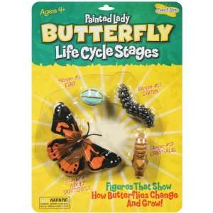  Life Cycle Stages Butterfly (4760) Arts, Crafts & Sewing