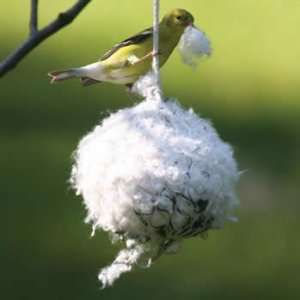  Cottontail Nest Builder Patio, Lawn & Garden