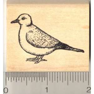 Dove Bird Rubber Stamp