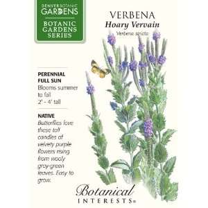  King Henry Viola Seeds   200 mg   Perennial Patio, Lawn 