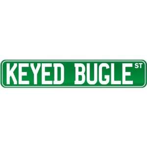  New  Keyed Bugle St .  Street Sign Instruments