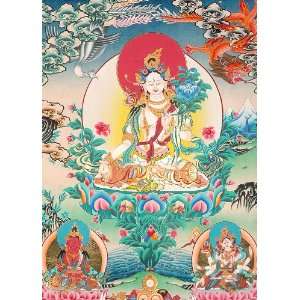  Sapta lochani Mother Goddess Tara with Amitayus Buddha and 