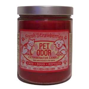   Pet Odor Exterminator Jar Candle   Fresh Strawberries