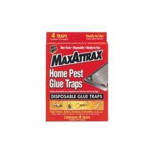    SPECTRUM 4 Count MaxAttrax Glue Traps Patio, Lawn & Garden