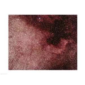   North America Nebula In Cygnus Poster (24.00 x 18.00)