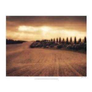  Cypress Study   Tuscany   Poster by Jamie Cook (27.75X19 