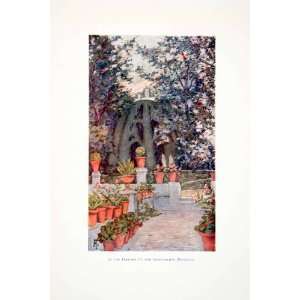   Botanical Alhambra Palace Tree   Original Color Print