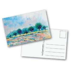  Cover It Blank Postcards   4 x 6 inches   Pack of 50 