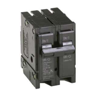 Eaton 100 Amp 2 in. Double Pole Type BR Replacement Circuit Breaker 