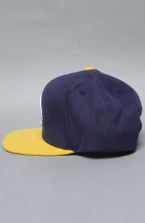 LRG Core Collection The Core Collection Snapback Hat in Navy 
