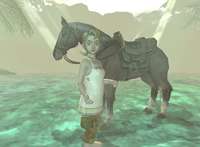 The Legend of Zelda Twilight Princess Nintendo Wii unbekannt 