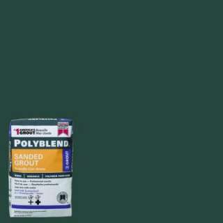 Custom Building Products #305 Onyx Green 25 Lb. Sanded Grout PBG30525 