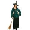 Damen Kostüm Green Witch, Einheitsgröße  Hexe Hexen Kleid Halloween 
