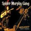 Spider Murphy Gang   Unplugged in Maximilianeum  Spider 