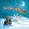 Weihnachtskarte mit Umschlag   Christmas Kitten   Merry Christmas 