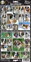 Stunning Assortment of Saint Bernard  Dog Stickers  