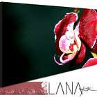 Lana KK Bilder Kunstdruck​e Blumen Bild Blau Orchidee XS