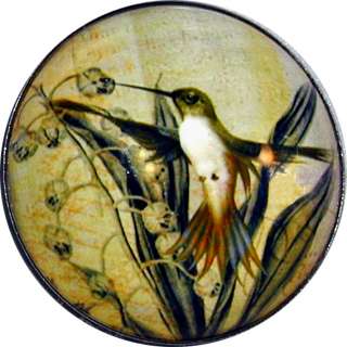 Beautiful Crystal Dome Button Hummingbird getting Nectar1 & 3/8 HBIRD 