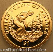Native American Dollar 2009 S proof, also called a Golden Dollar.