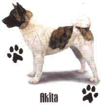 CLICK ON YOUR FAVORITE DOG BREED BELOW TO SEE THE DESIGN WHICH YOU 