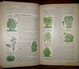 ANTIQUE VICTORIAN COOKBOOK FARM MEDICAL HOUSE BARN ARCHITECTURE BEES 