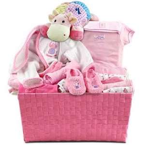  Pink Layette New Baby Girl Gift Basket   Great Shower Gift 