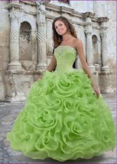 2012 style Bridal wedding dress Quinceanera Ball Gown Custom Size 