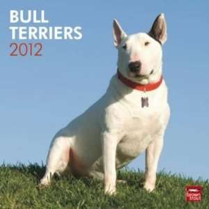  Bull Terriers 2012 Wall Calendar 12 X 12 Office 