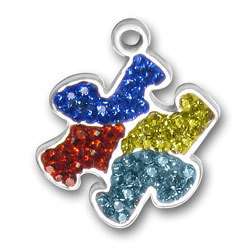 Autism Awareness Puzzle Piece Charms   Choose From 7  