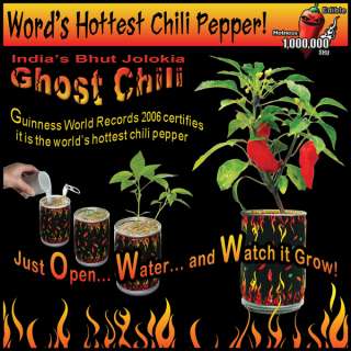   ghost chili is an incredibly hot pepper and now you can grow it