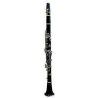 BLACK WOOD GRAIN CLARINET withHARD CASE and ACCESSORIES  