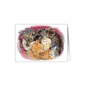  Donation Cat / Kitten Shelter / Rescue   Kittens Card 