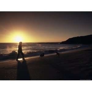  Jogger and Dogs at Sunrise, Kealia Beach, Kapaa 