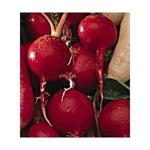  Radish Cherry Belle   1 Pkt. (400 seeds)