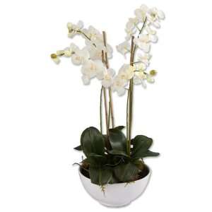  Clair Blanc Orchid Planter
