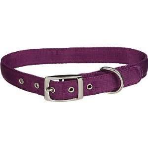   Comfort Purple Dog Collar